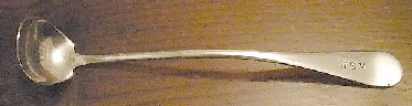 Windsor common pattern in 19th Century Wm Rogers & Son Mustard or Condiment Spoon