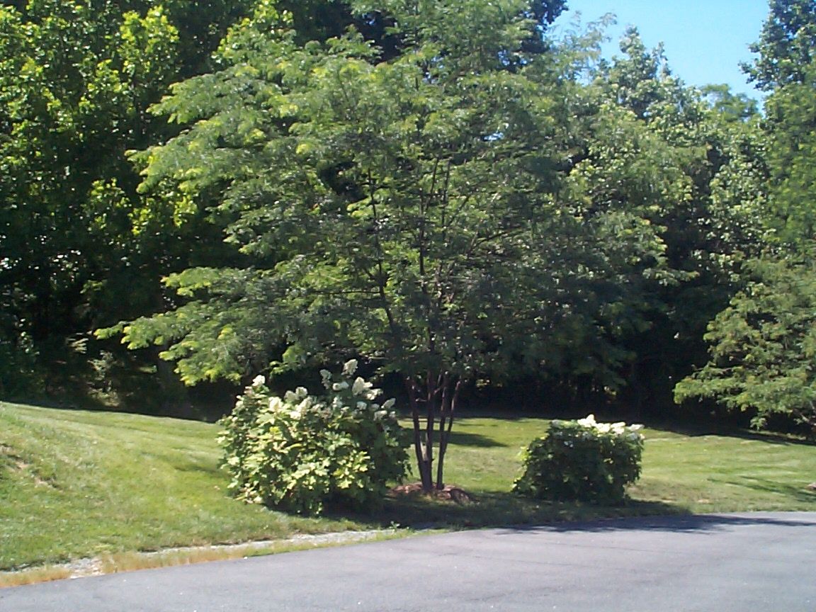 fsbo waterfront sale by owner stafford va