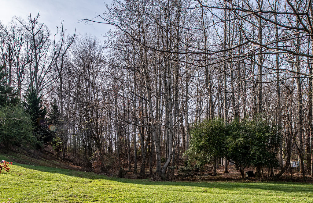 fsbo waterfront sale by owner stafford va