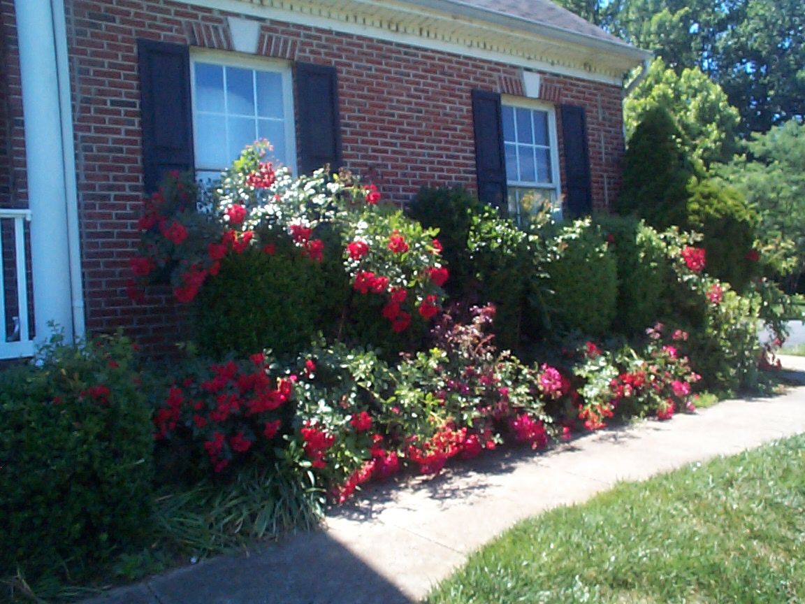 fsbo waterfront sale by owner stafford va