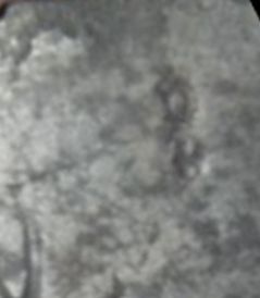 American Captured P1804 British Royal Navy Cutlas with Crown over GR Cipher