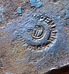 russian soviet pole ax with hammer and sickle